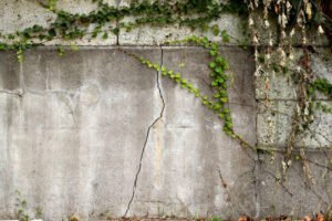 A concrete retaining wall covered with lush green ivy, showcasing a blend of nature and urban structure.