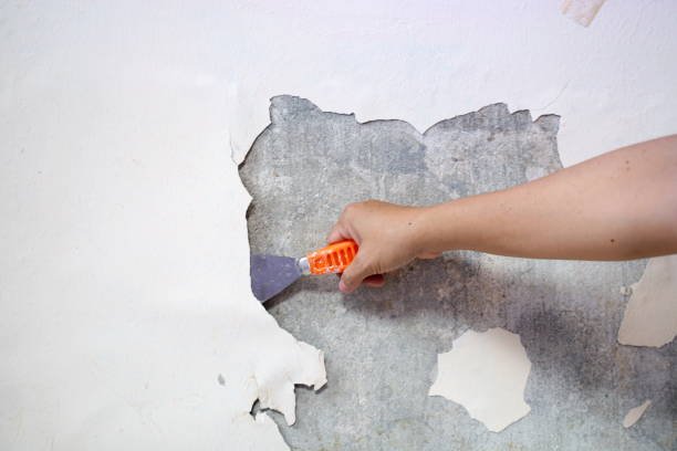 A person using a paintbrush to touch up a wall, demonstrating a technique for Remove Paint from concrete surfaces.