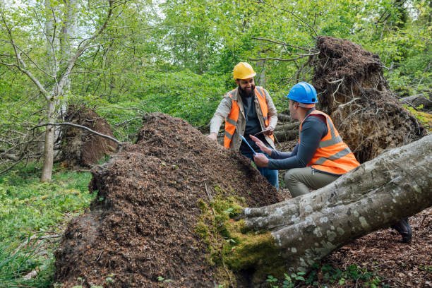 Two men in orange vests and hard hats examine a dirt pile near an uneven walkway.